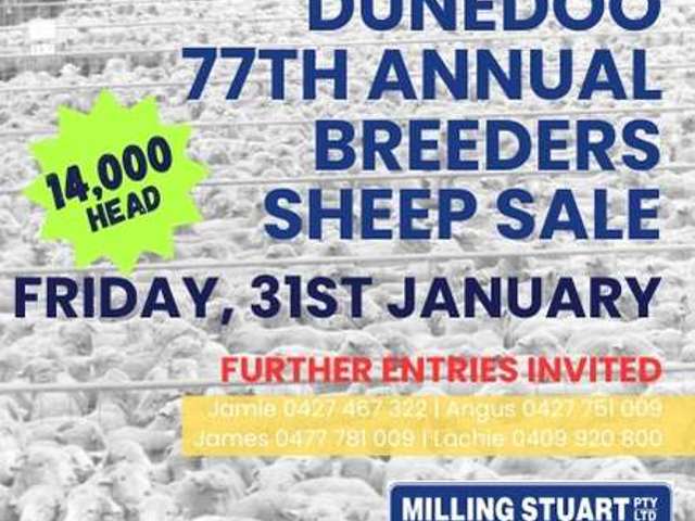 77th Annual Breeders' Sheep Sale